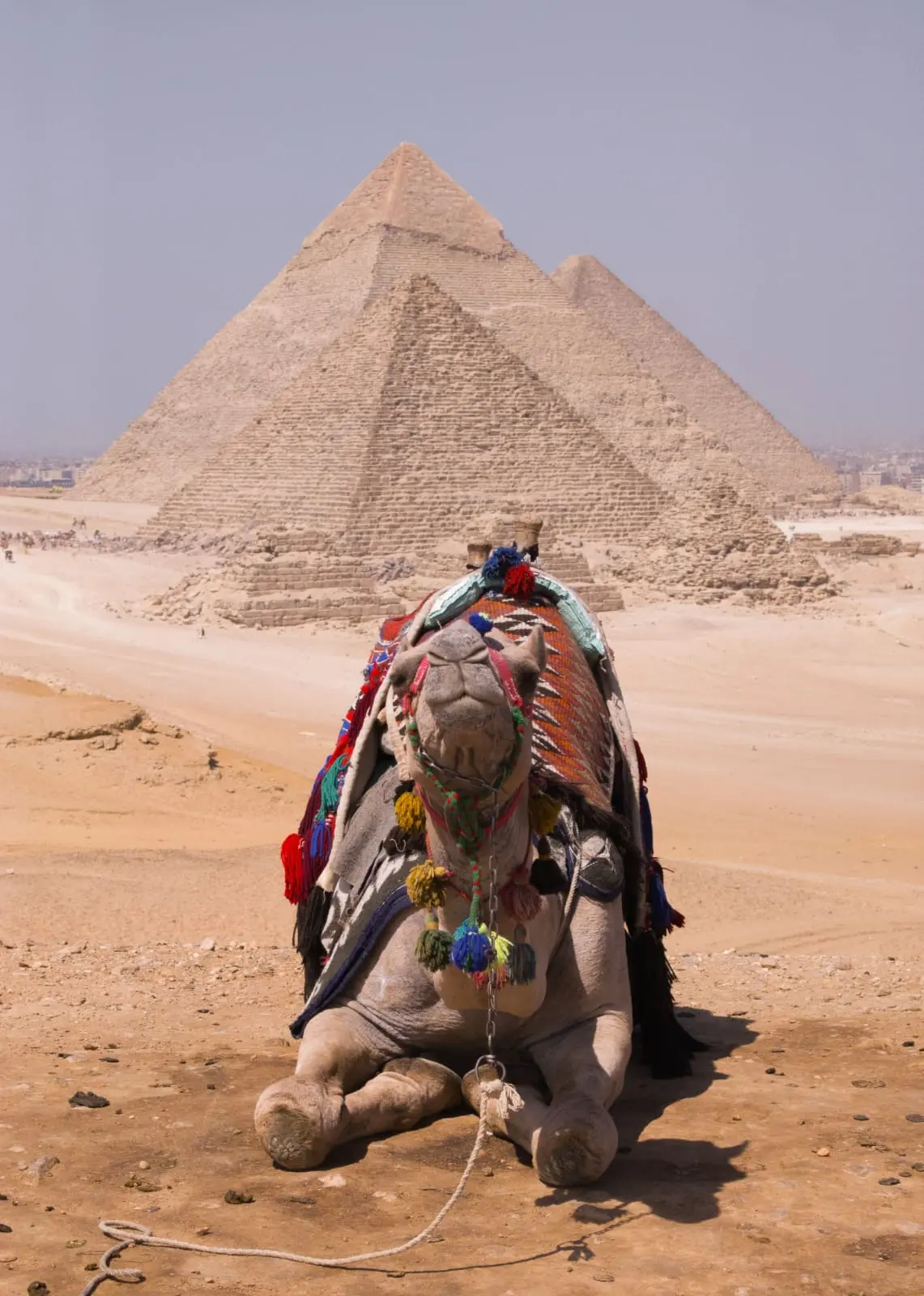 Die besten privaten Touren in Kairo